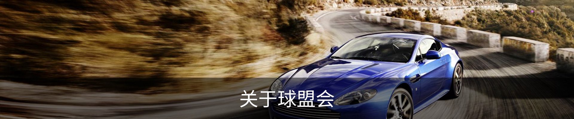 关于球盟会